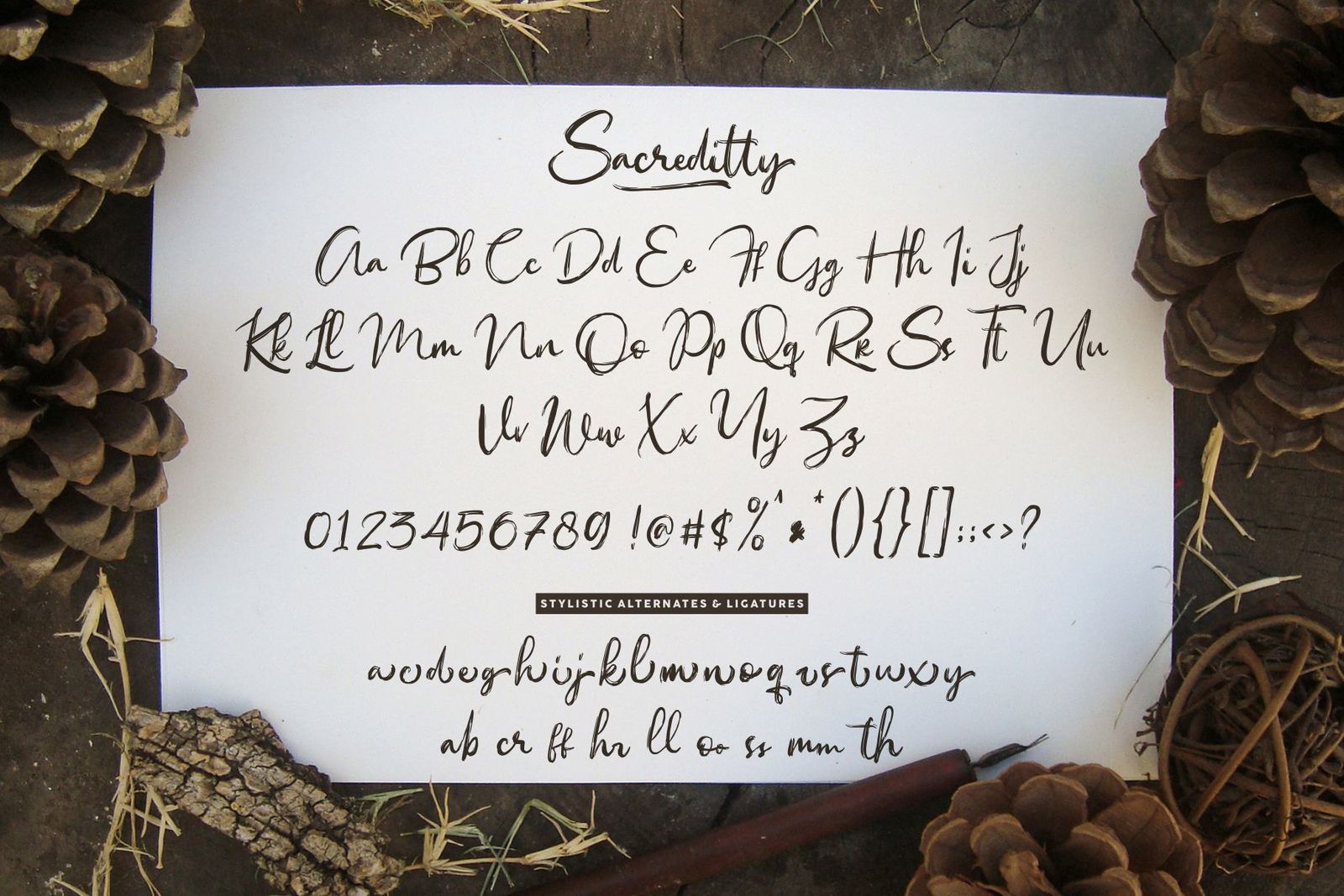 Sacreditty Handbrush Font Sacreditty Handbrush Font
