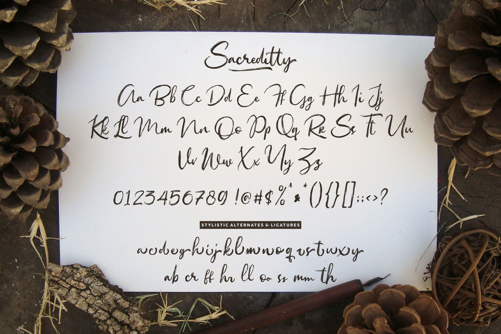 Sacreditty Handbrush Font