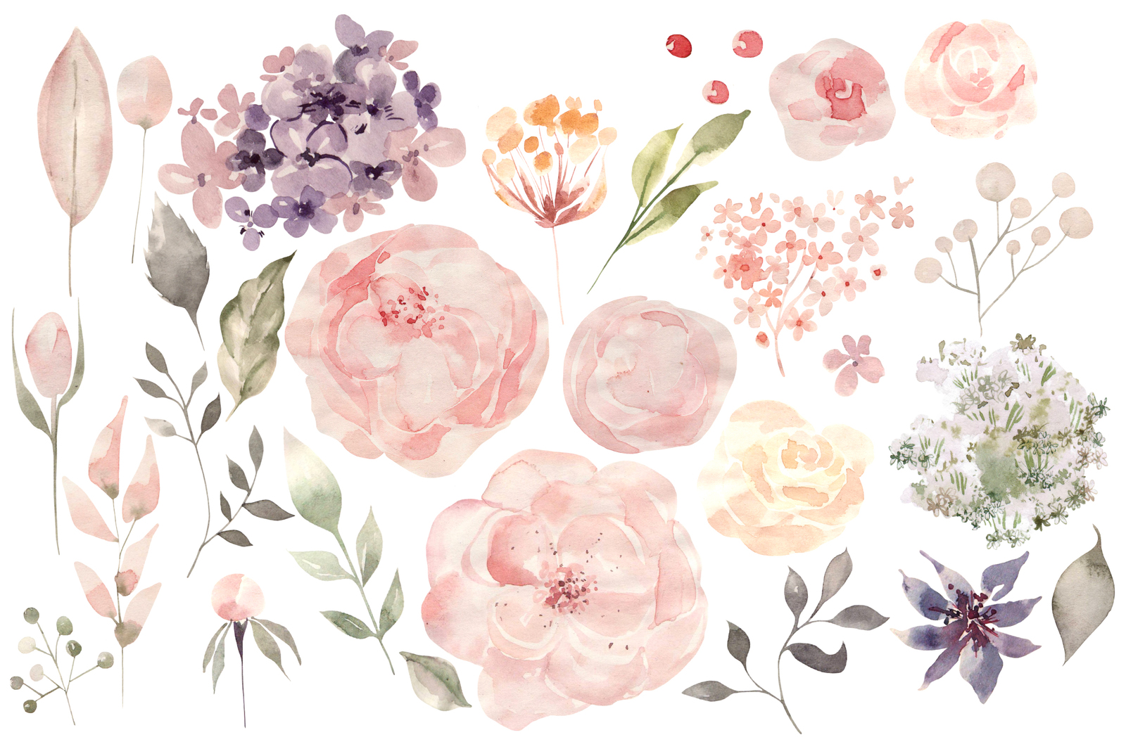 Watercolor Blooming Flowers