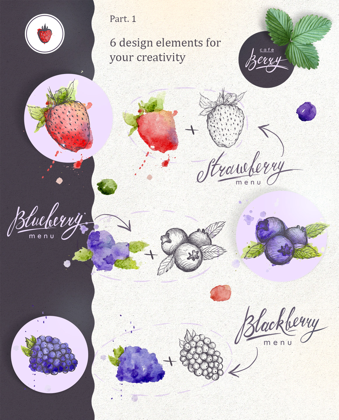 Hand drawn vector illustrations set – Berry! Hand drawn vector illustrations set – Berry!