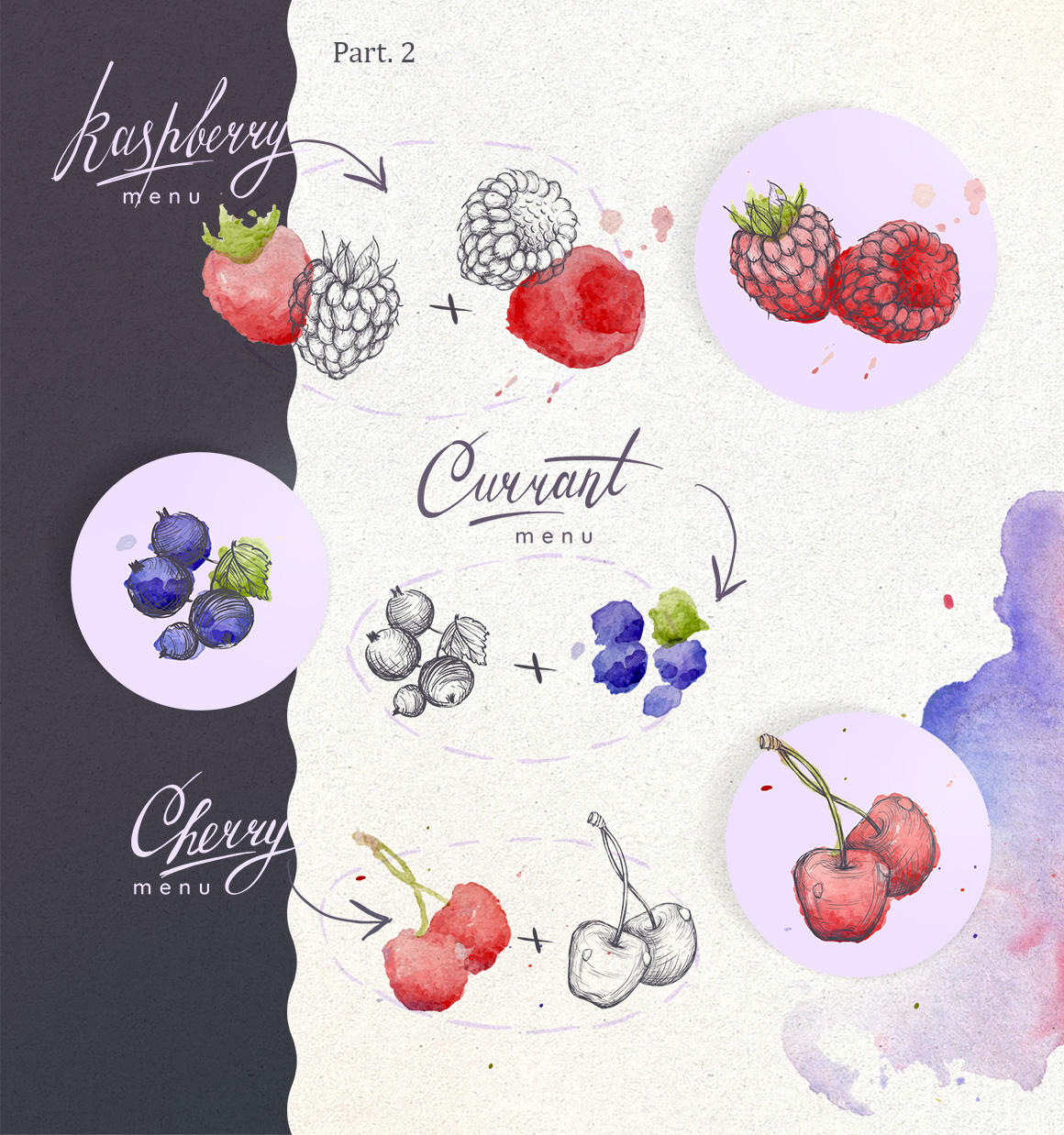 Hand drawn vector illustrations set – Berry! Hand drawn vector illustrations set – Berry!