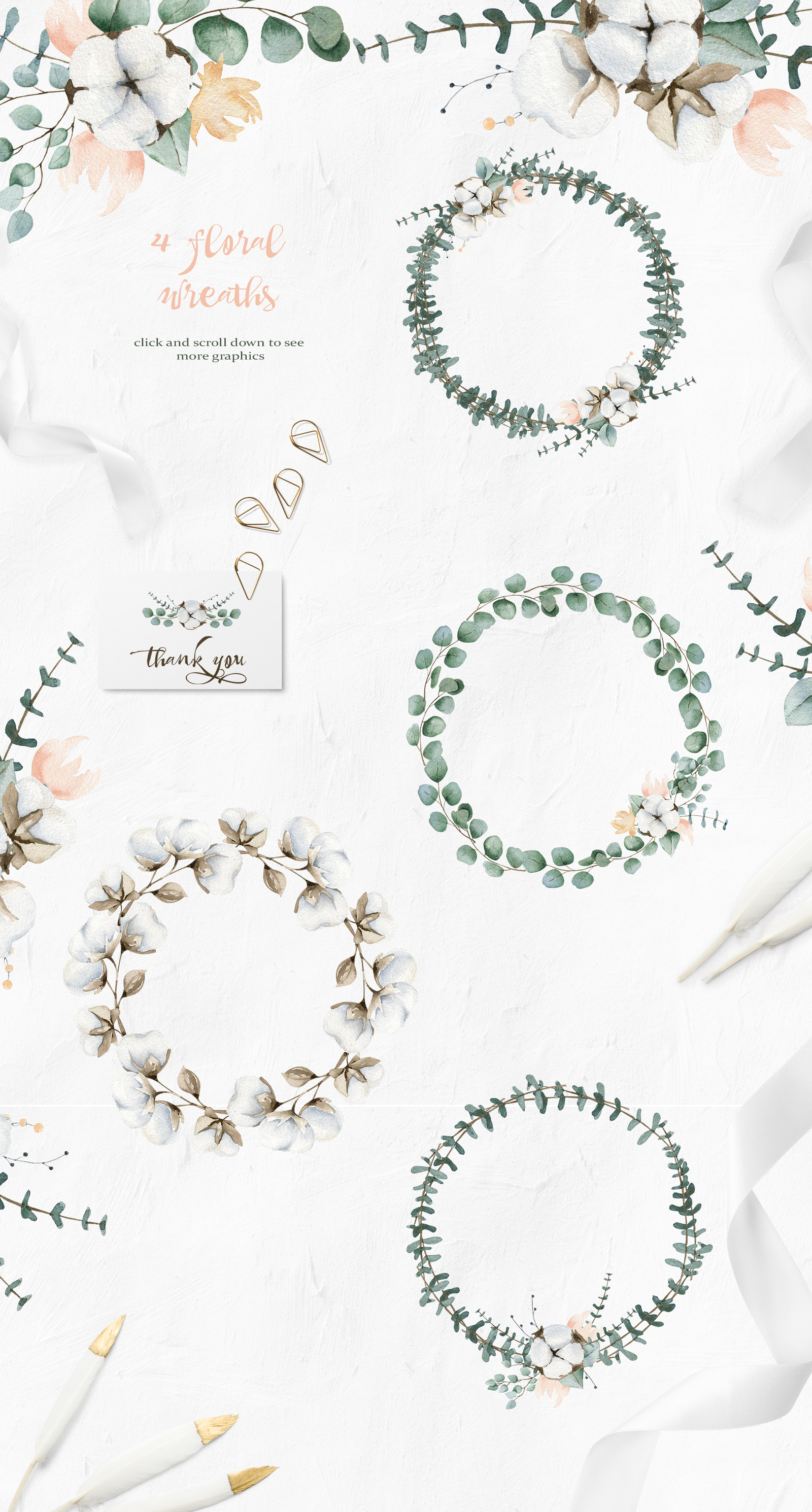 Cotton and Eucalyptus watercolor clipart collection