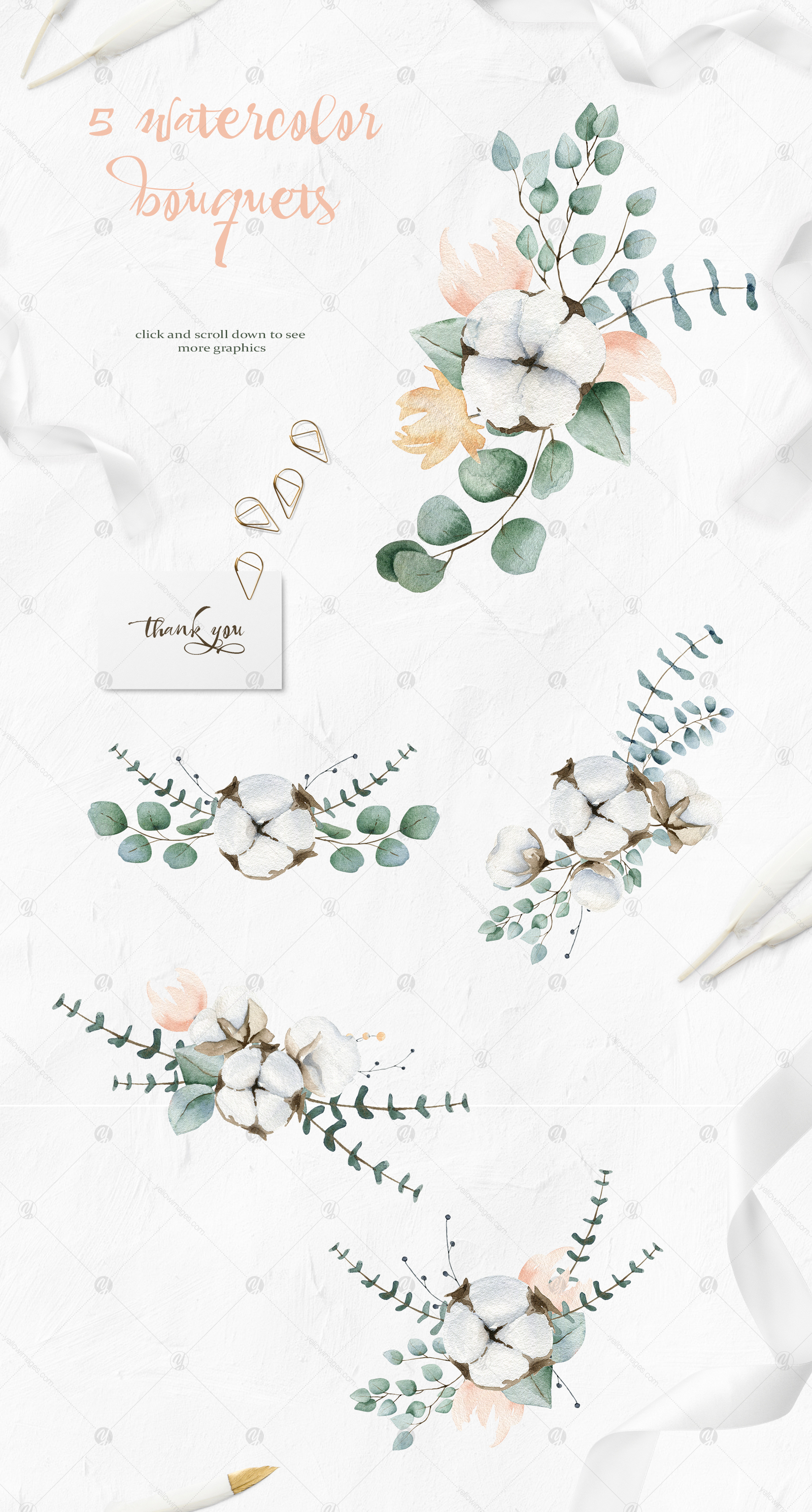 Cotton and Eucalyptus watercolor clipart collection