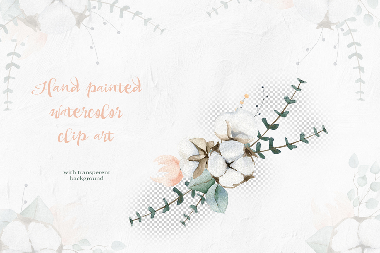 Cotton and Eucalyptus watercolor clipart collection