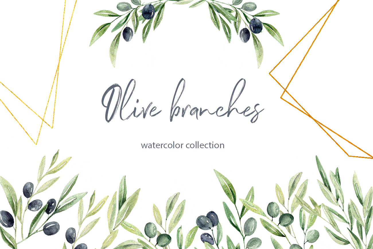 Watercolor Olive branches