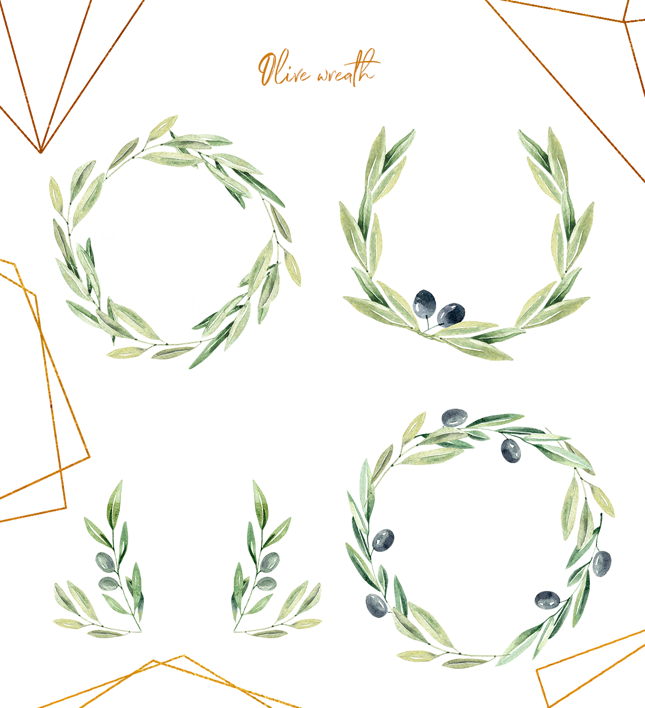 Watercolor Olive branches