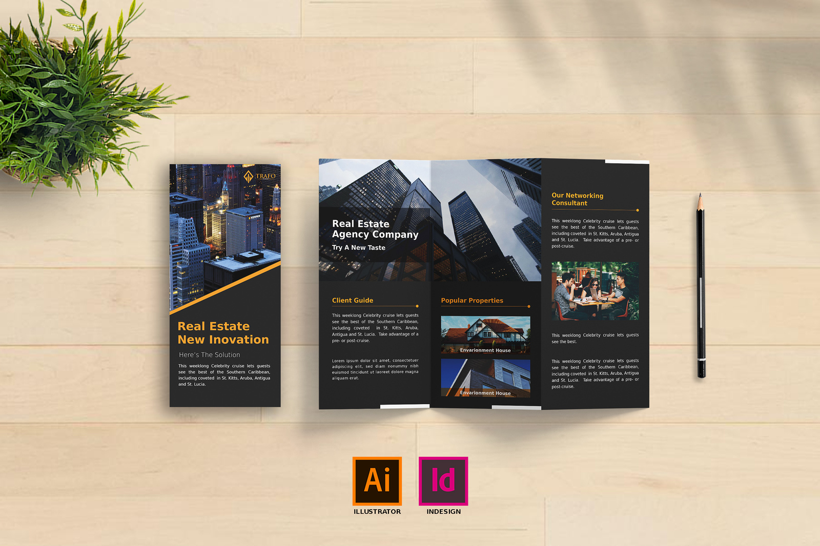 Real Estate Trifold Brochure Vol. 1