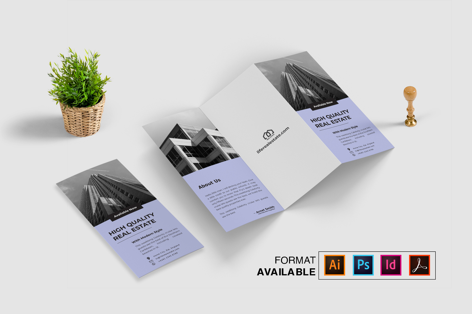 Real Estate Minimalist Trifold Vol. 2