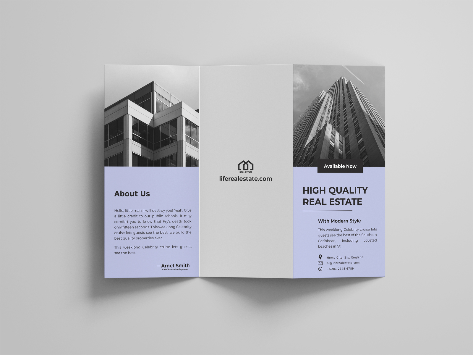 Real Estate Minimalist Trifold Vol. 2