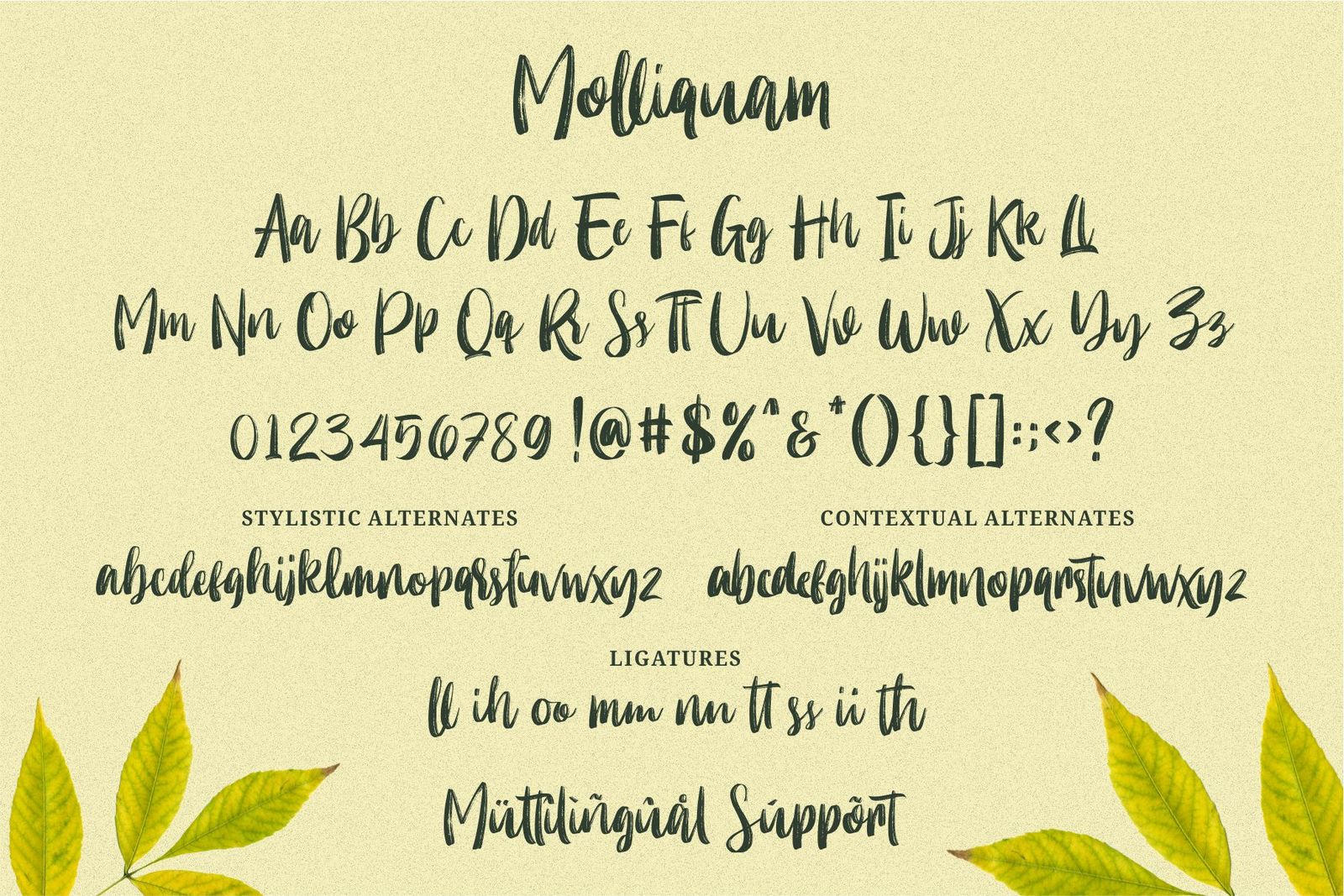 Molliquam - Handwritting Fonts