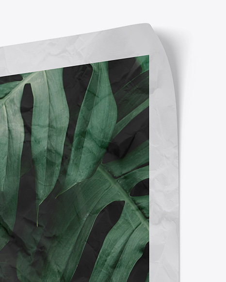 Crumpled Poster Mockup