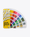 Color Palette Mockup - Top View