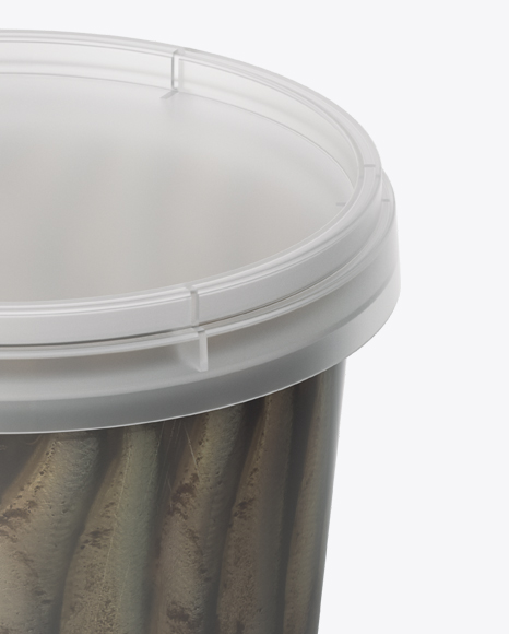 Frosted Plastic Container With Fish Mockup - High-Angle Shot