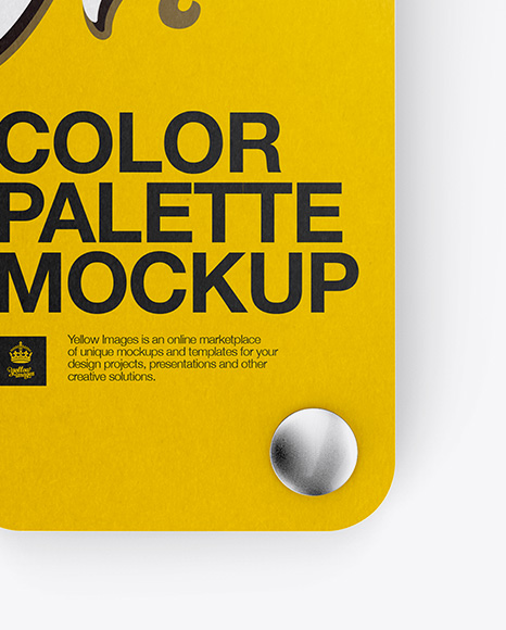 Color Palette Mockup - Top View