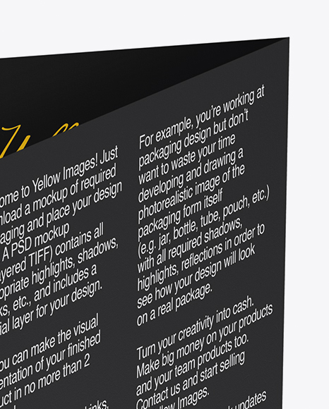 A5 Brochure - Back Side Mockup