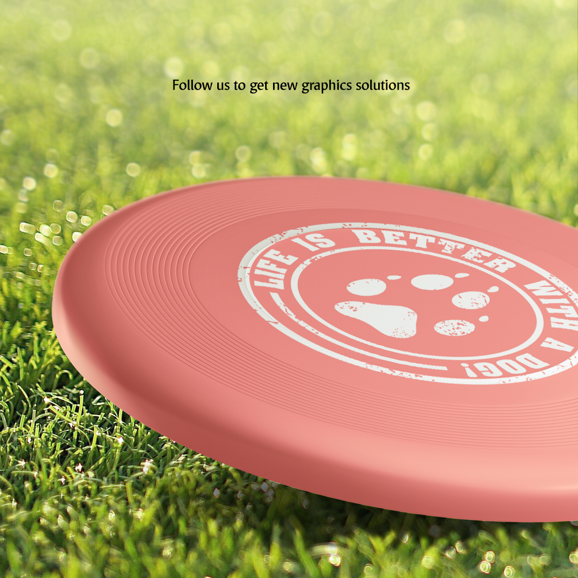 Frisbee Mockups Set