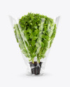 Plastic Bag With Green Basil Mockup