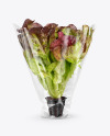 Plastic Bag With Red Oak Leaf Lettuce Mockup