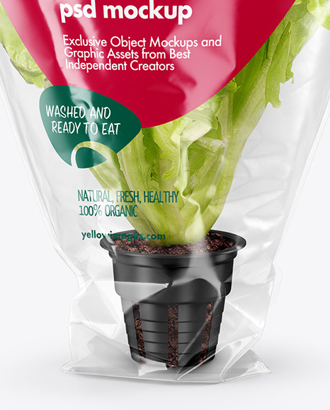 Plastic Bag With Red Oak Leaf Lettuce Mockup