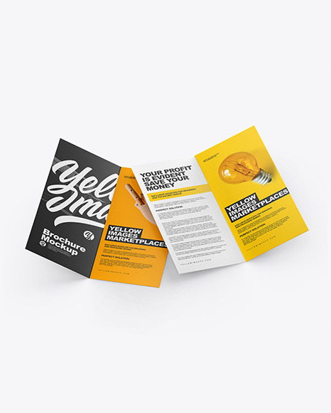 Two Brochures Mockup