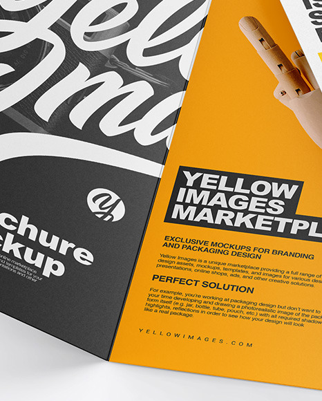 Two Brochures Mockup