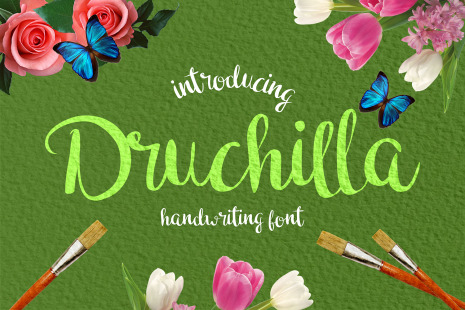 Druchilla Script - Popularfont