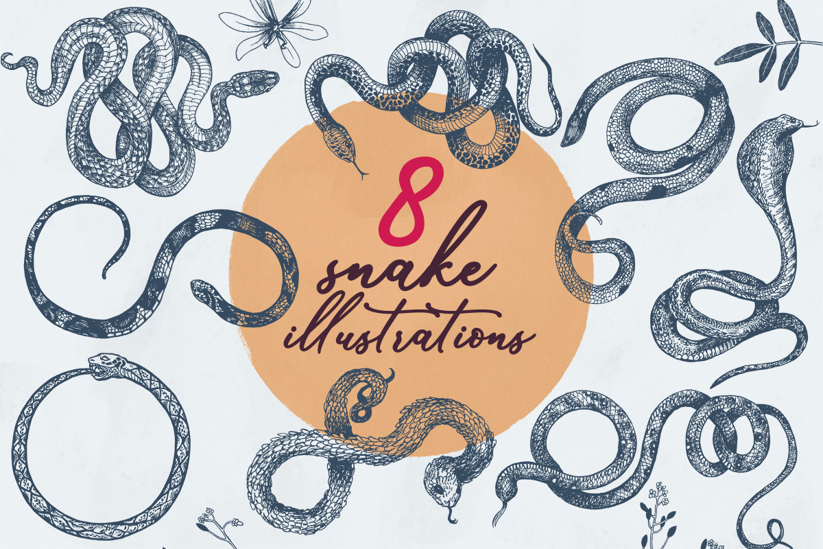Botany and Snakes Botany and Snakes
