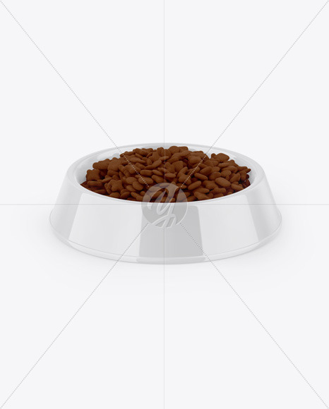 Glossy Pet Feeding Bowl Mockup