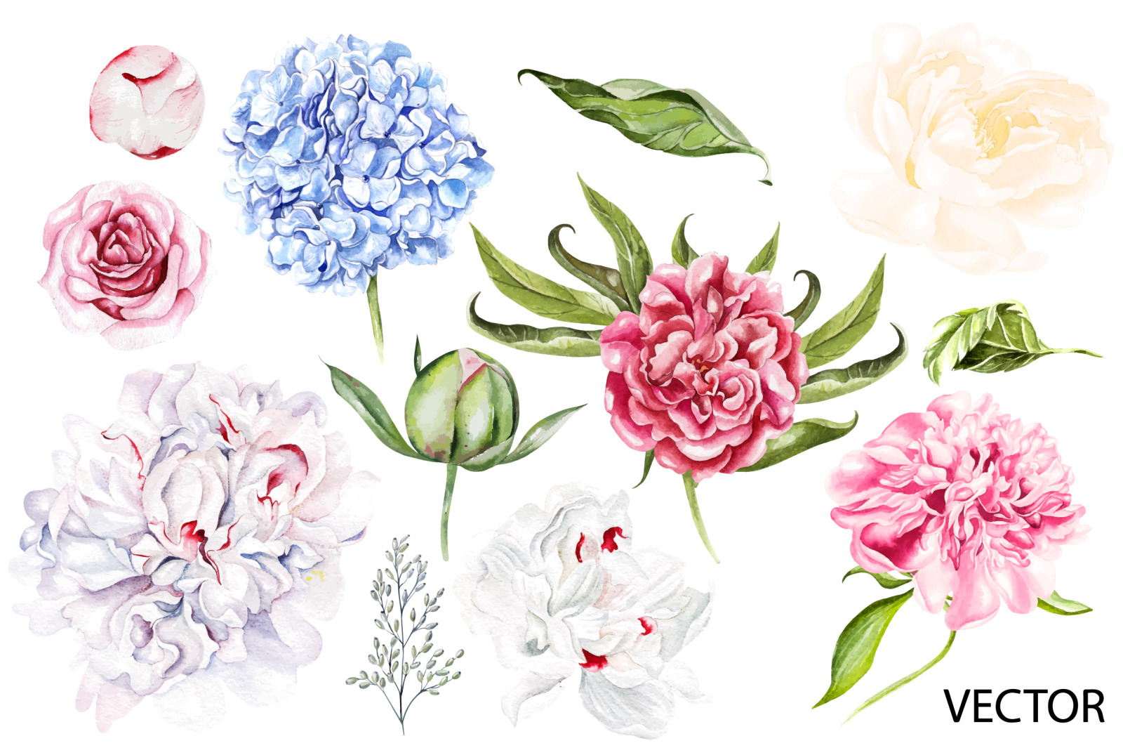 Watercolor Blooming Peony&amp;Hudrangea