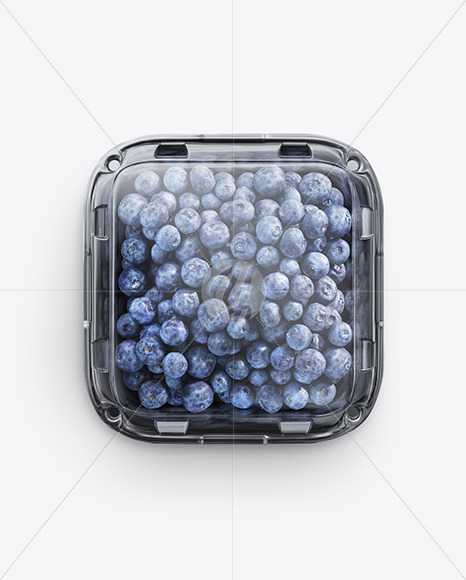 Container w/ Blueberry Mockup