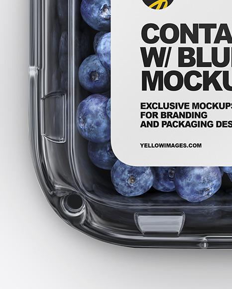 Container w/ Blueberry Mockup