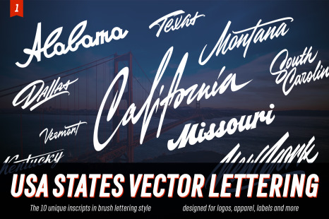 USA states vector lettering design elements - National