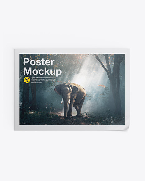 Poster Mockup