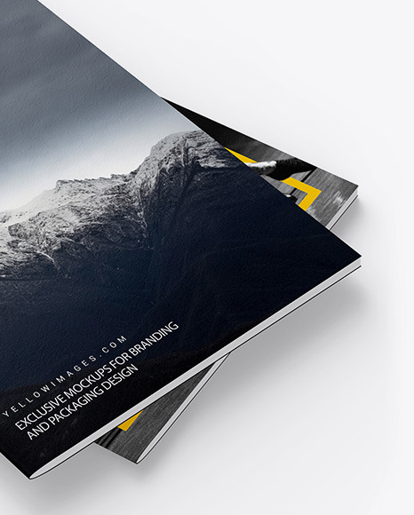 Two Textured A4 Magazines Mockup