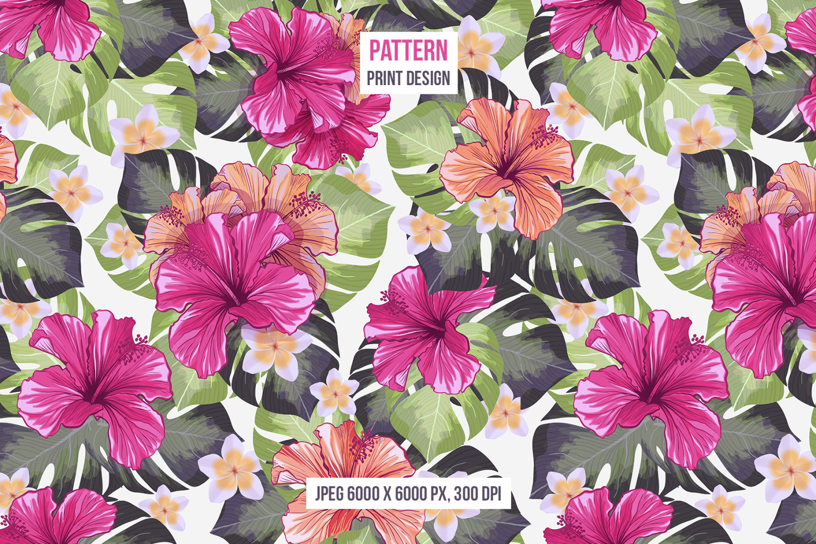 Tropical Paradise - Design Set Tropical Paradise - Design Set