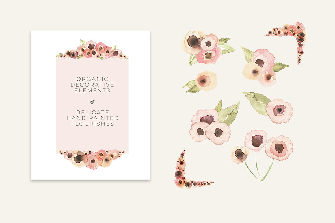 The Transcendent Wildflower Collection The Transcendent Wildflower Collection