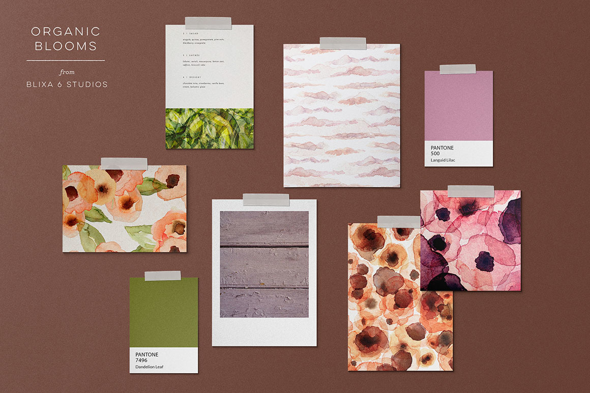 The Transcendent Wildflower Collection The Transcendent Wildflower Collection