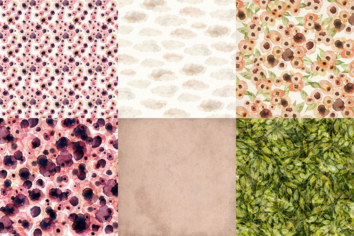 The Transcendent Wildflower Collection The Transcendent Wildflower Collection