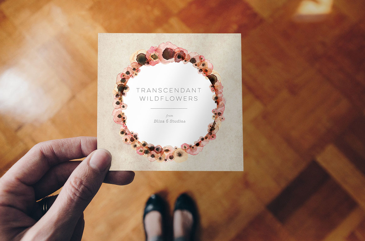The Transcendent Wildflower Collection The Transcendent Wildflower Collection