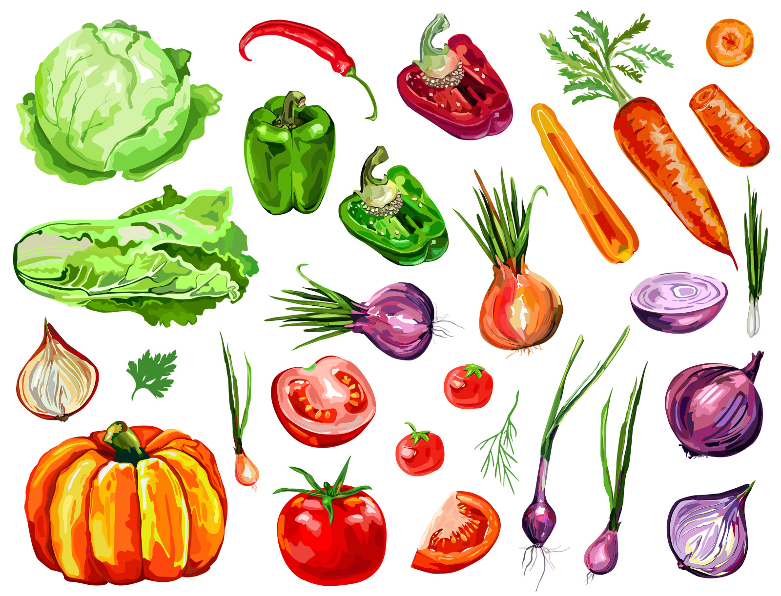 Collection of vegetables in vector Collection of vegetables in vector