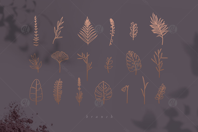 Birds, Keys and Branches Symbols Birds, Keys and Branches Symbols
