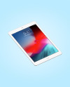 Silver IPad Mockup