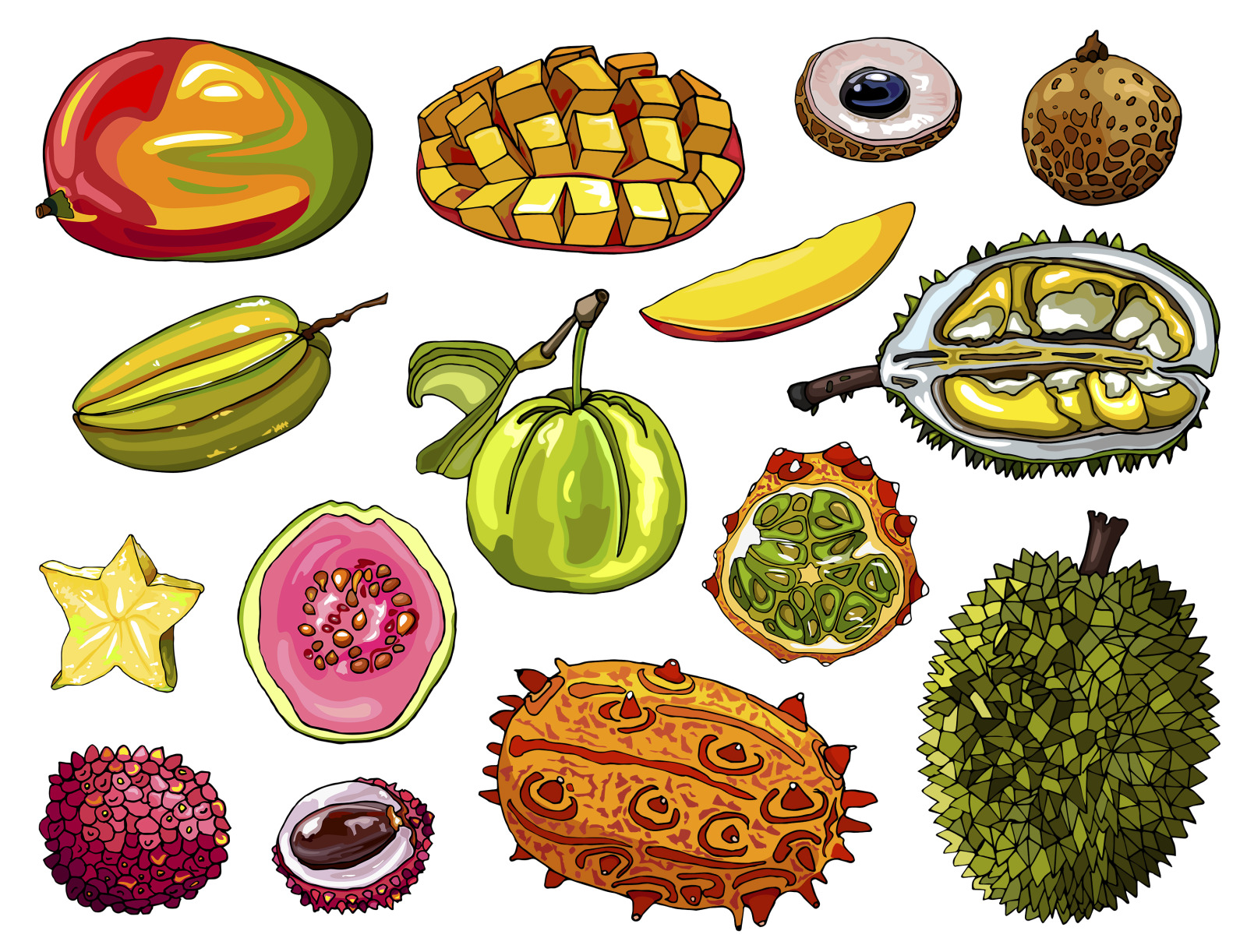 Collection of exotic fruits vector Collection of exotic fruits vector