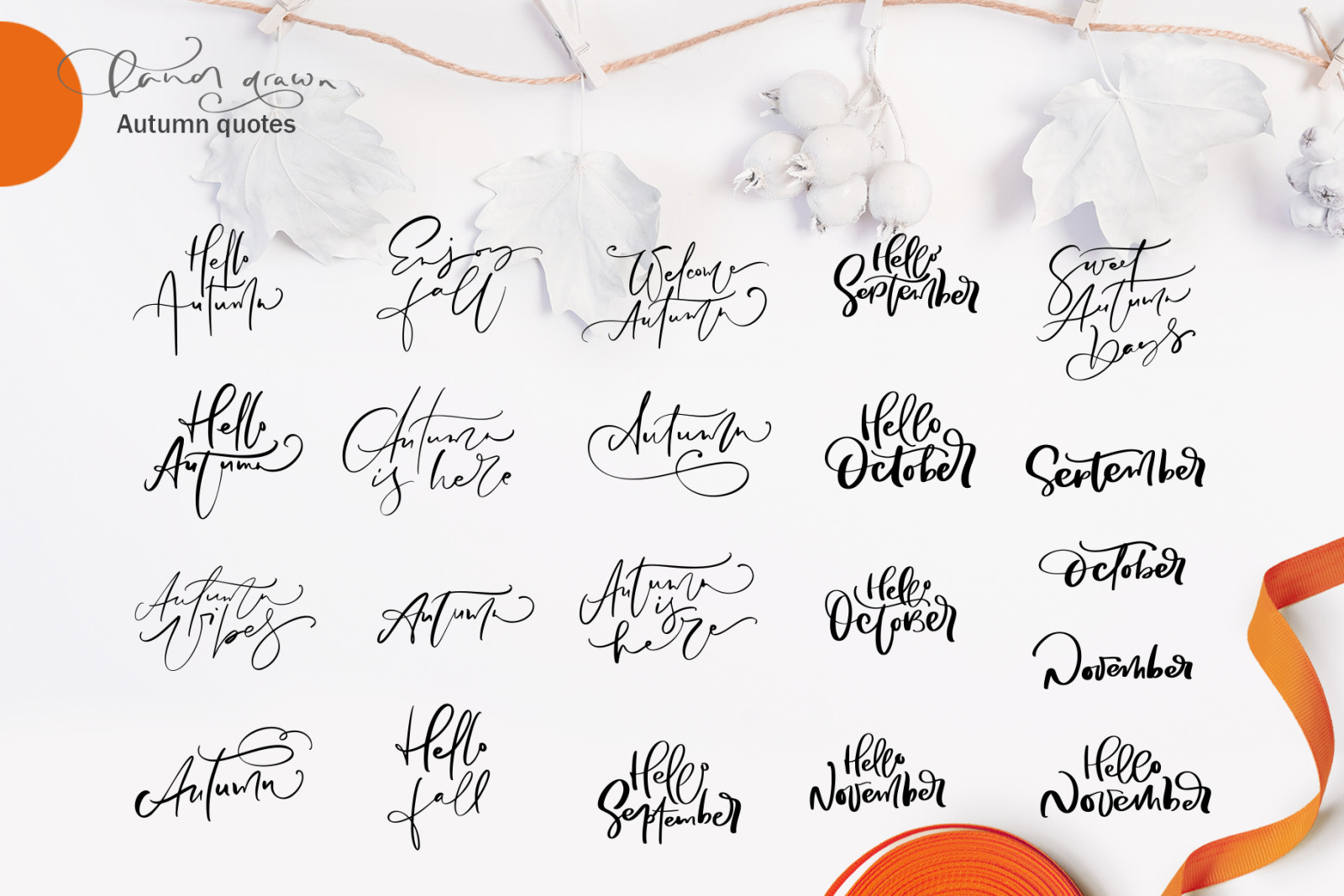 Autumn vector calligraphy & floral elements Autumn vector calligraphy & floral elements