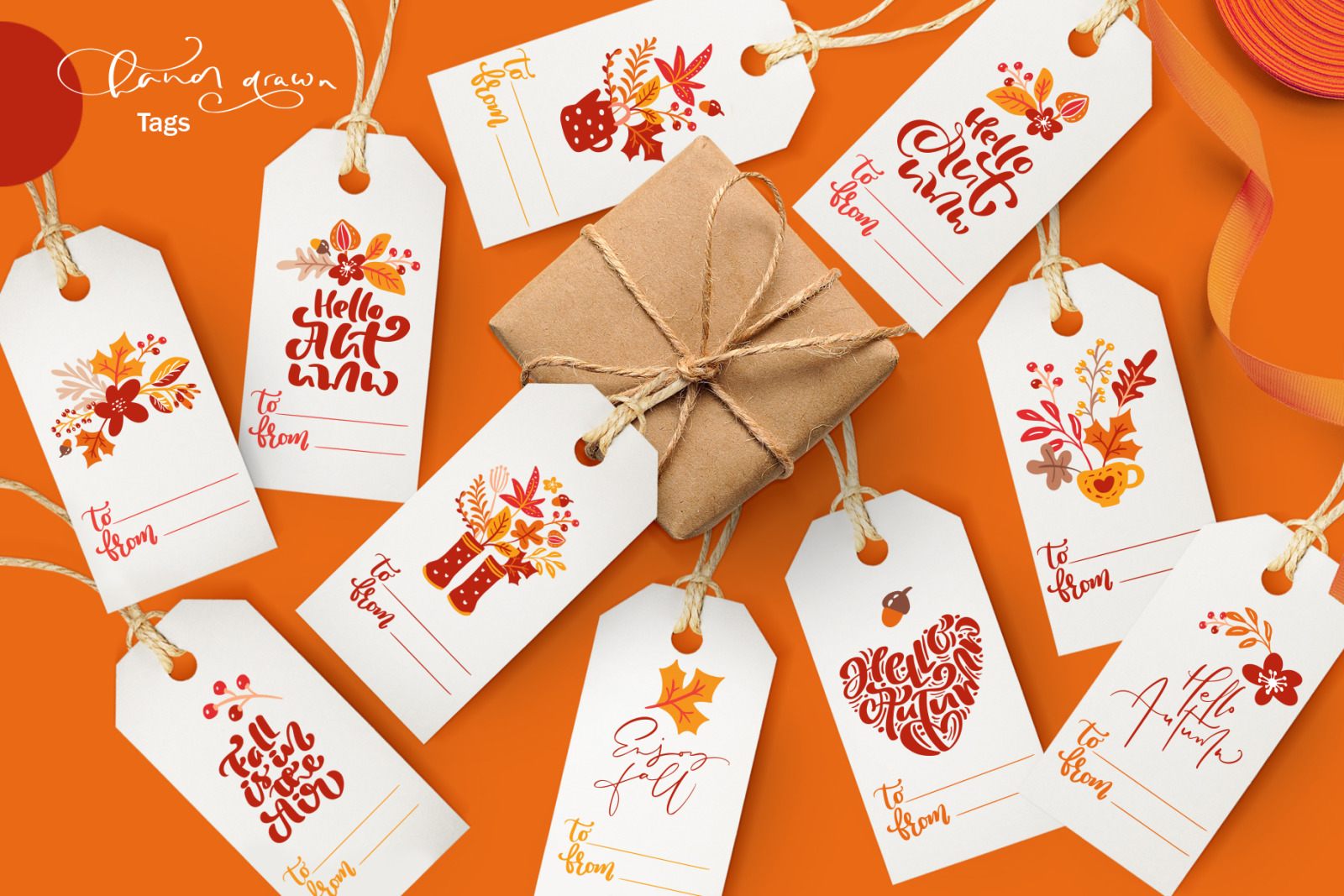 Autumn vector calligraphy &amp; floral elements