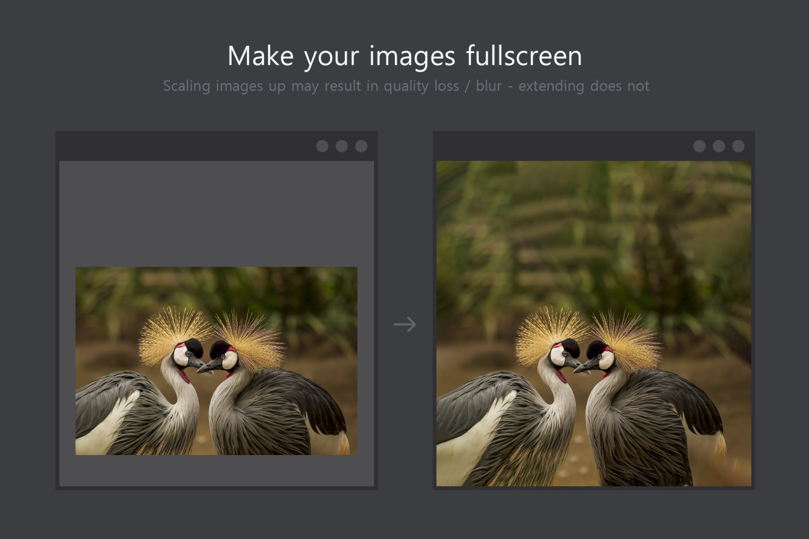 Image Extend - Clipping & Expansion Kit Image Extend - Clipping & Expansion Kit