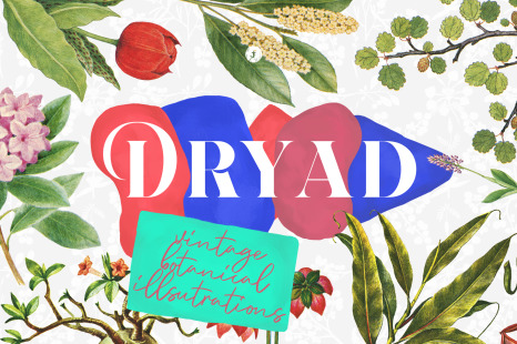 Dryad - Botanical Illustrations - Pattern bundle