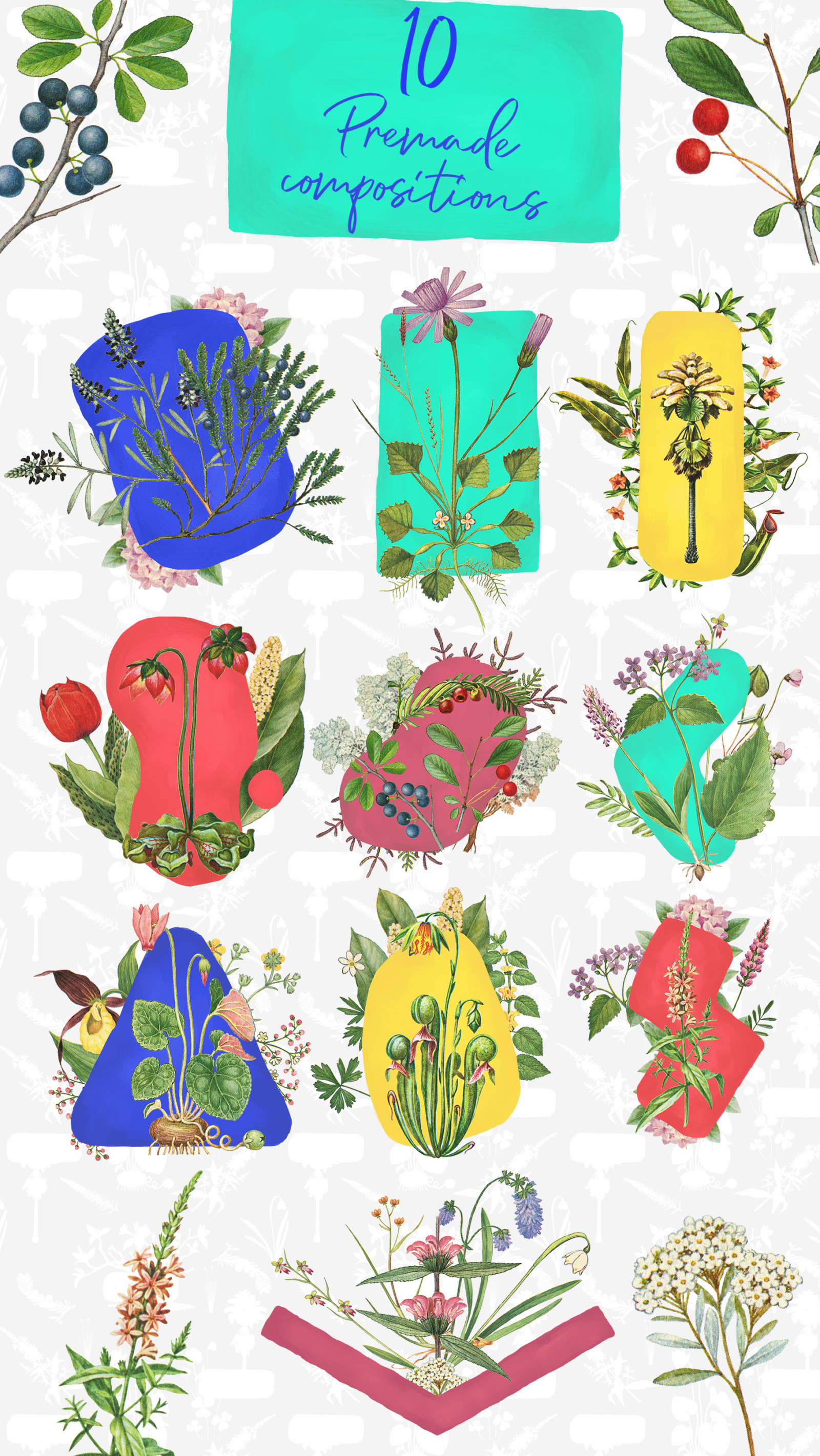 Dryad - Botanical Illustrations Dryad - Botanical Illustrations