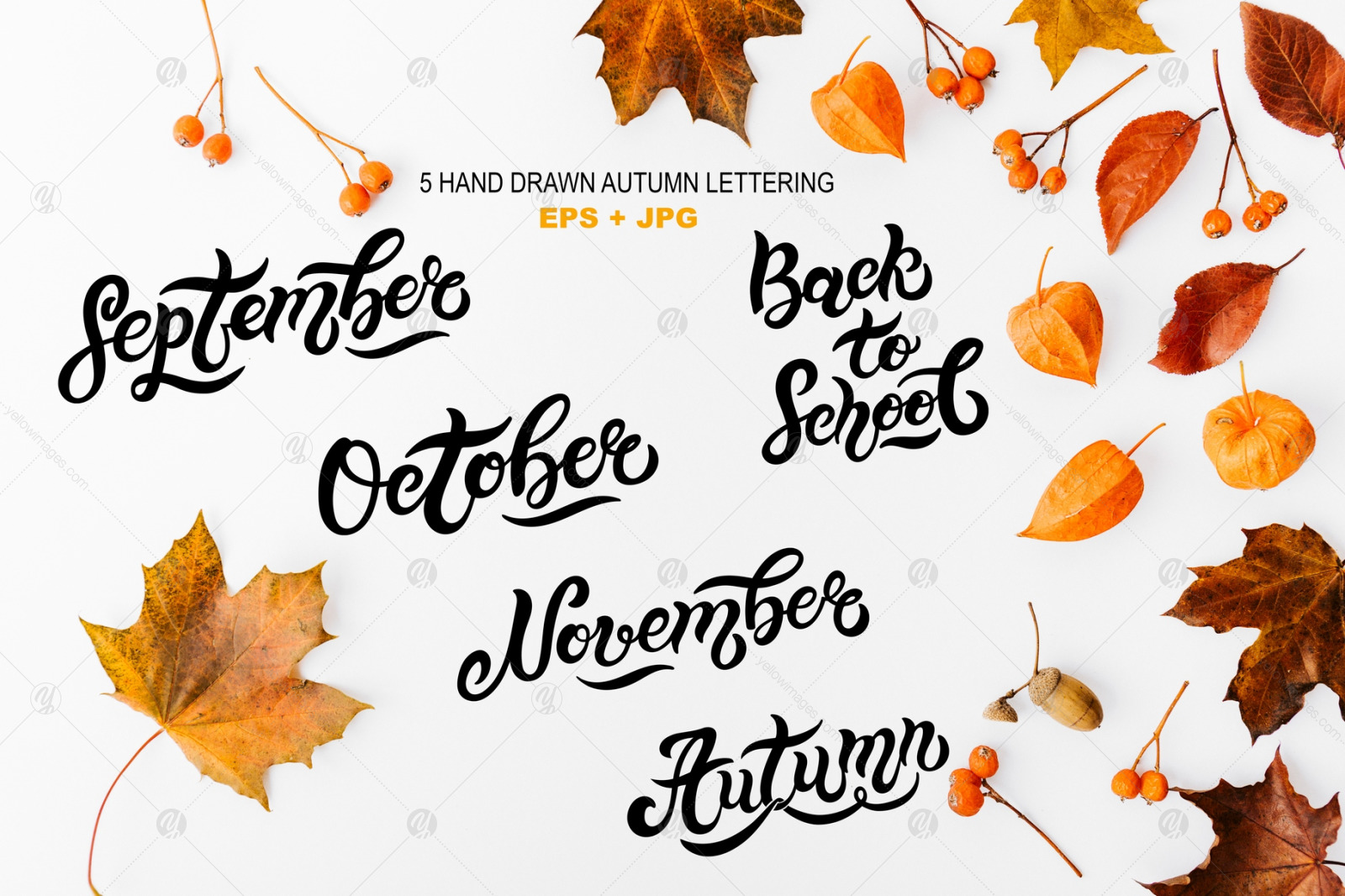 Hello Autumn Set Hello Autumn Set