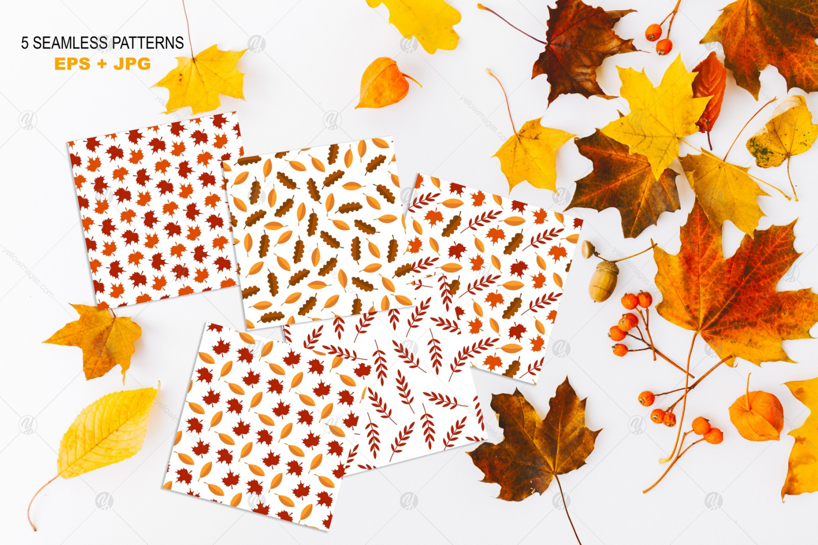 Hello Autumn Set Hello Autumn Set